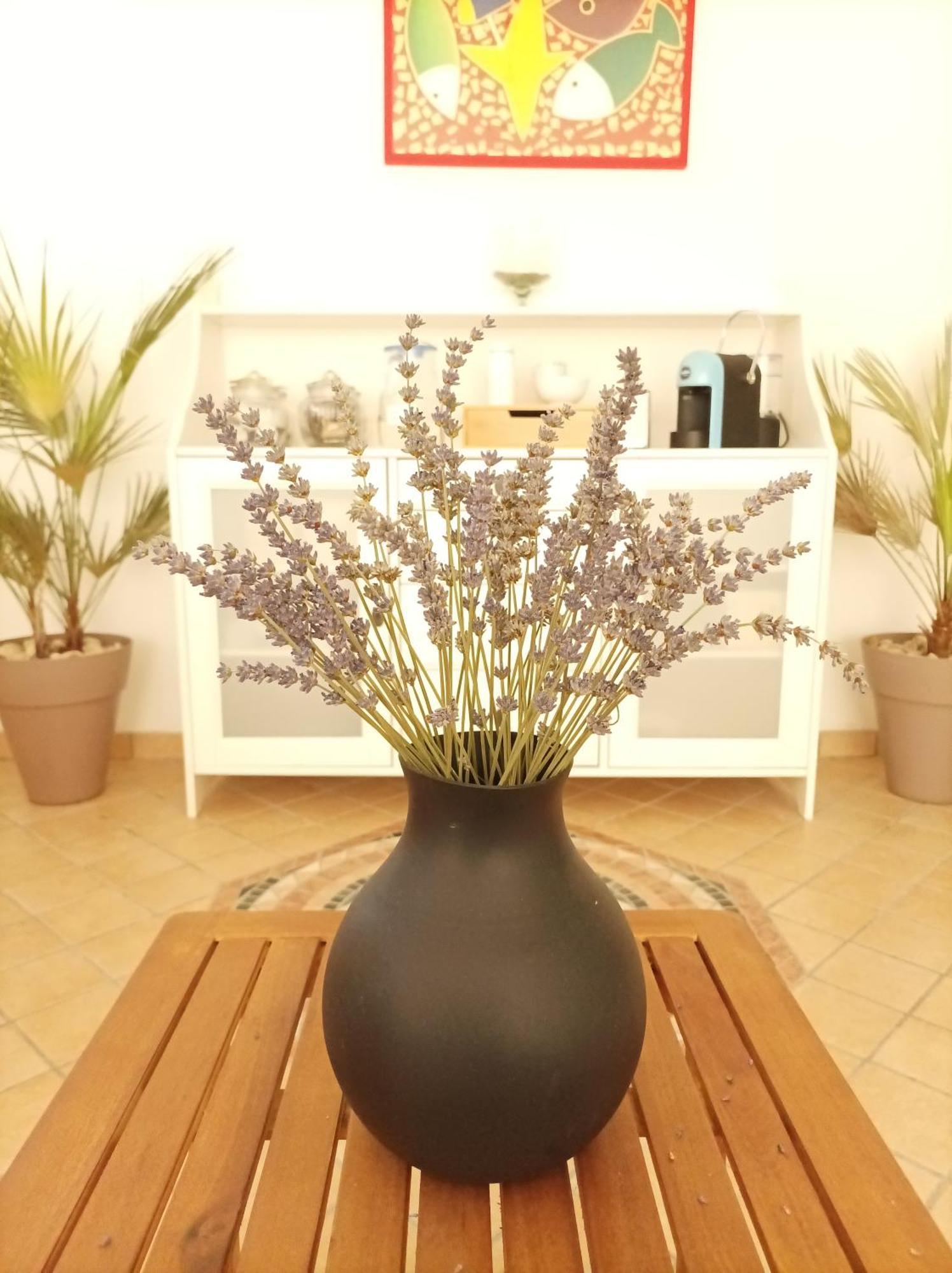 Villa Istonia Cupello Экстерьер фото